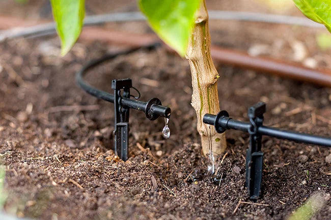 The Smart Way to Water Plants Why Drip Irrigation is a Game Changer